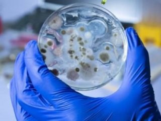 Büyük Skandal! Tam 51 Yere..