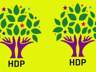 HDP'nin Homoseksüel Adayı Meclise Girdi Mi?