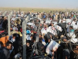 AK Partili Vekilden PYD'ye Tepki