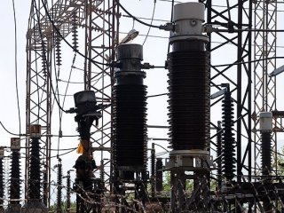 ABD'de Sincap Yüzünden Elektrikler Kesildi!