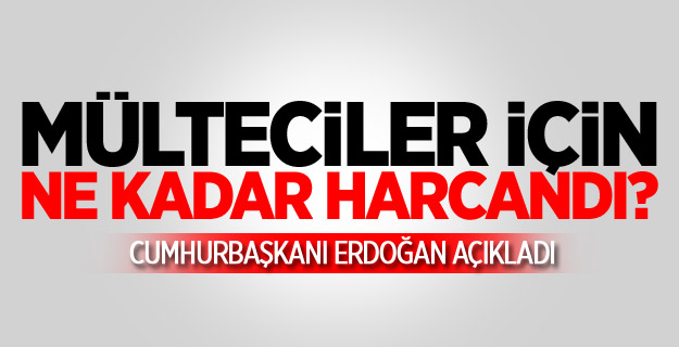 Mülteciler İçin Ne Kadar Harcandı?