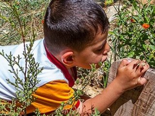 "Dua Okudukça Babam Bal Yiyor"