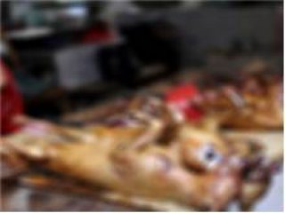 Festival İçin 40 Bin Köpek Kesildi