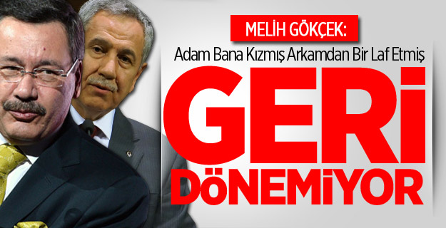 Gökçek'ten 'Arınç' açıklaması