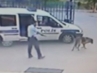 Bu Nasıl Komiser Yardımcısı?