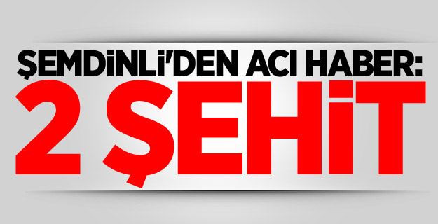 Şemdinli'den acı haber: 2 şehit