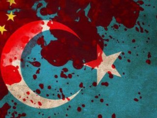 Türkiye'den Rahatsız Oldular!