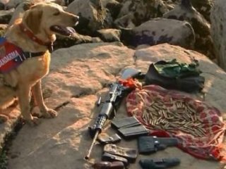 Diyarbakır'da Ele Geçen Silahlar Şoke Etti!