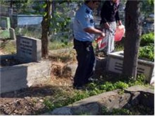 Bebek Mezarından Bakın Ne Çıktı