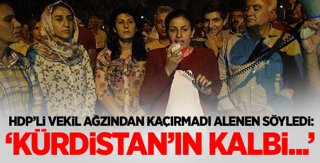 HDP'li Vekilden Skandal Sözler!