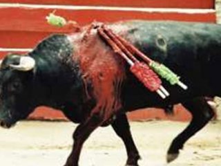 Kurban Bayramı’na Çatan Malum Medya