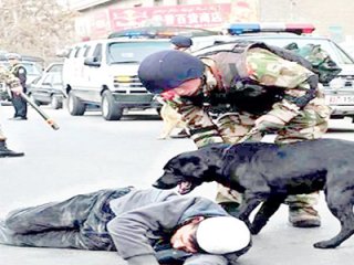 Al Birini Vur Ötekine