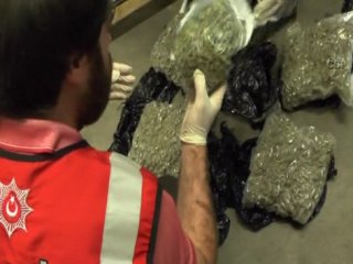 Pisliği Bebek Mamasına Koydular!