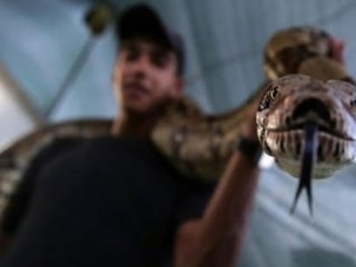 Filistinli Gençlerin Yeni Savunma Taktiği