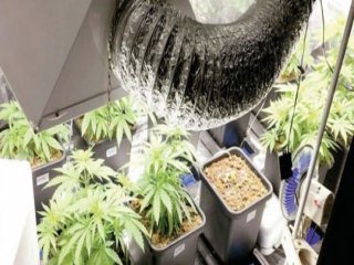 Uyuşturucu Tacirlerine Geçit Yok: 17 Tutuklama