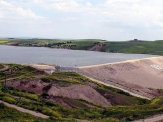 İt Sürüsü Rahatsız Oldu!