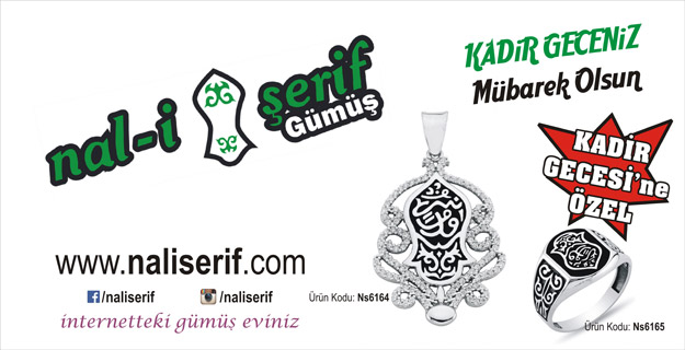 İnternetteki Gümüş Eviniz