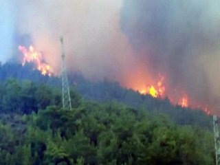 Mersin'de Son Dakika Orman Yangını!