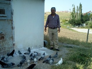 ‘Mağdur’ Kuşçuya Bayram Jesti