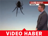 Örümcek Canlı Yayında Avlandı