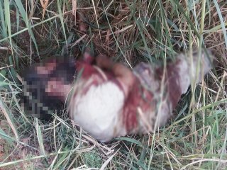 Astsubayı Şehit Eden Teröristin Fotoğrafı Yayınladı