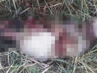 O Bilgi Doğrulandı! Onlarca Ölü Var