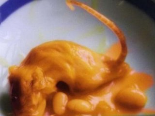 Yiyeceklerden Çıkan Korkunç Şeyler