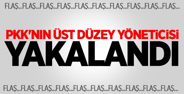 PKK'nın üst düzey yöneticisi yakalandı