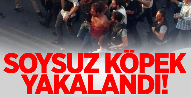 Polisi Şehit Eden Terörist Yakalandı