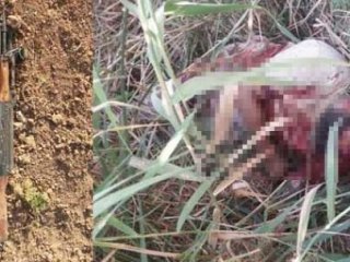 Astsubayı Şehit Eden Terörsit Mısırlı Çıktı