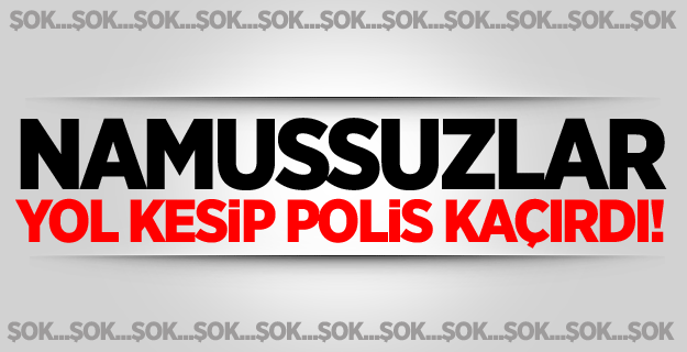 PKK'lı teröristler Lice'de Polis Kaçırdı