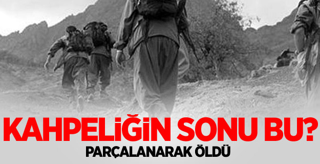 Hain tuzak kendi sonu oldu