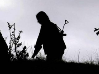 Genelkurmay: PKK yol kesip TIR yaktı!