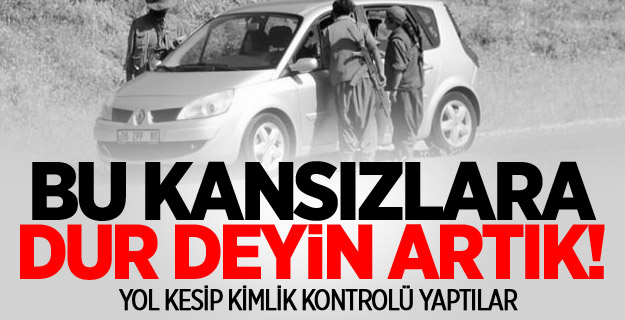 PKK Tunceli'de yol kesti