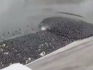 Susuzluğa siyah toplarla çözüm bulacaklar
