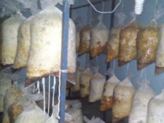 Şehri Yok Etmeye Yetecek Bomba Yakalandı