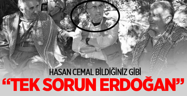 Hasan Cemal'e göre tek sorun Erdoğan