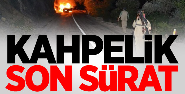 PKK, Tunceli'de yine araç yaktı