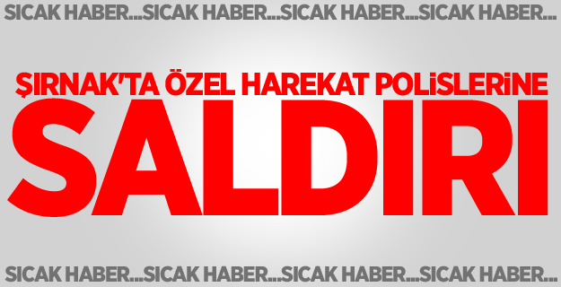 Şırnak'ta özel harekat polislerine saldırı