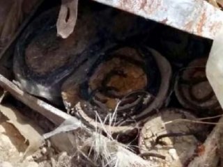 Sivas'ta 20 Kilogram Patlayıcı Ele Geçirildi