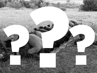 Sosyal Medyayı Salladı! İşte O Fotoğraf