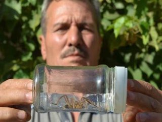 Balıkesir’de ‘Sarı Ömer’ Dehşeti