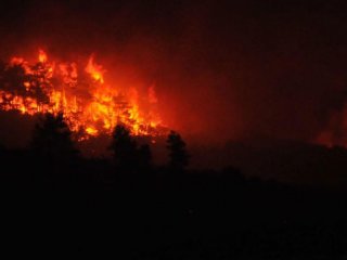 Bursa Dehşeti Yaşadı