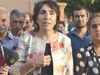 HDP'li Becerikli'den Soru Önergesi