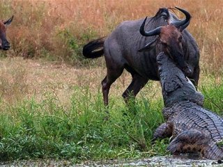 Her Şey Bir Anda Oldu! Paramparça Etti