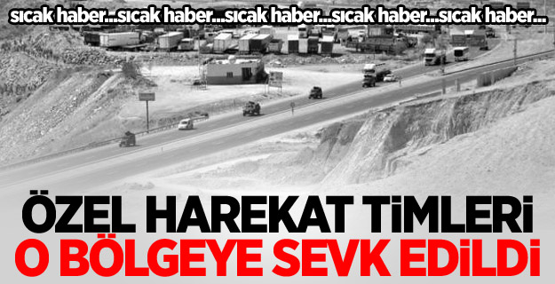 Şırnak'a özel harekat timleri sevk edildi