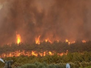 Bursa’daki Yangında Sabotaj Şüphesi