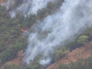 Hakkari’de 5 Ayrı Noktada Orman Yangını