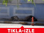 İşte Hainler Böyle Geberdi!