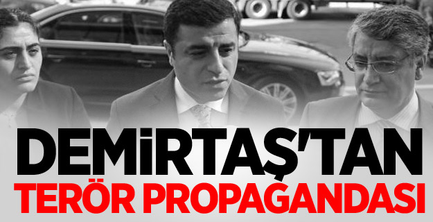 Demirtaş'tan Terör Propagandası